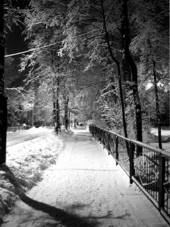 Other Wallpapers 0680